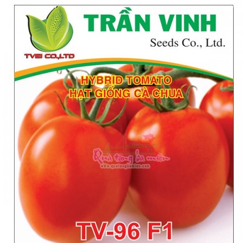 Hạt giống Cà chua Hàn Quốc (TV-96 F1) - 1Gr